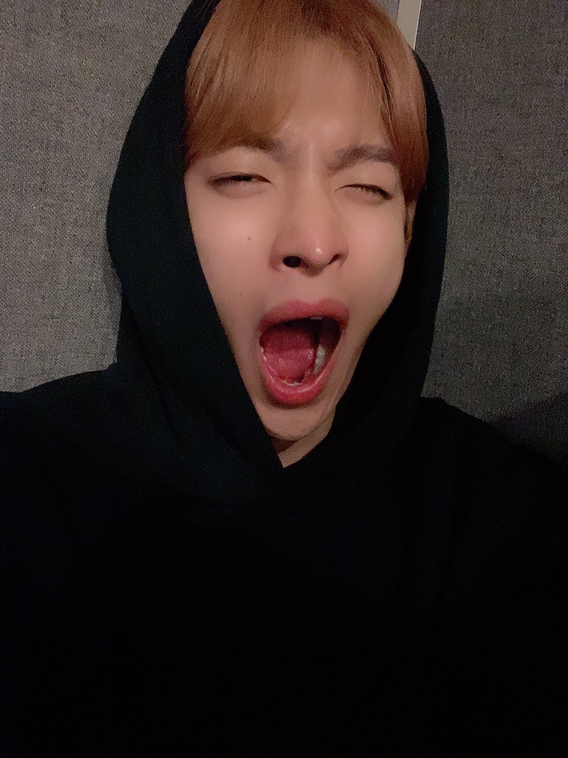 SEVENTEEN Community Posts - 하암🥱아우 졸리다 잘자요 캐럿들 키키키 - DK
