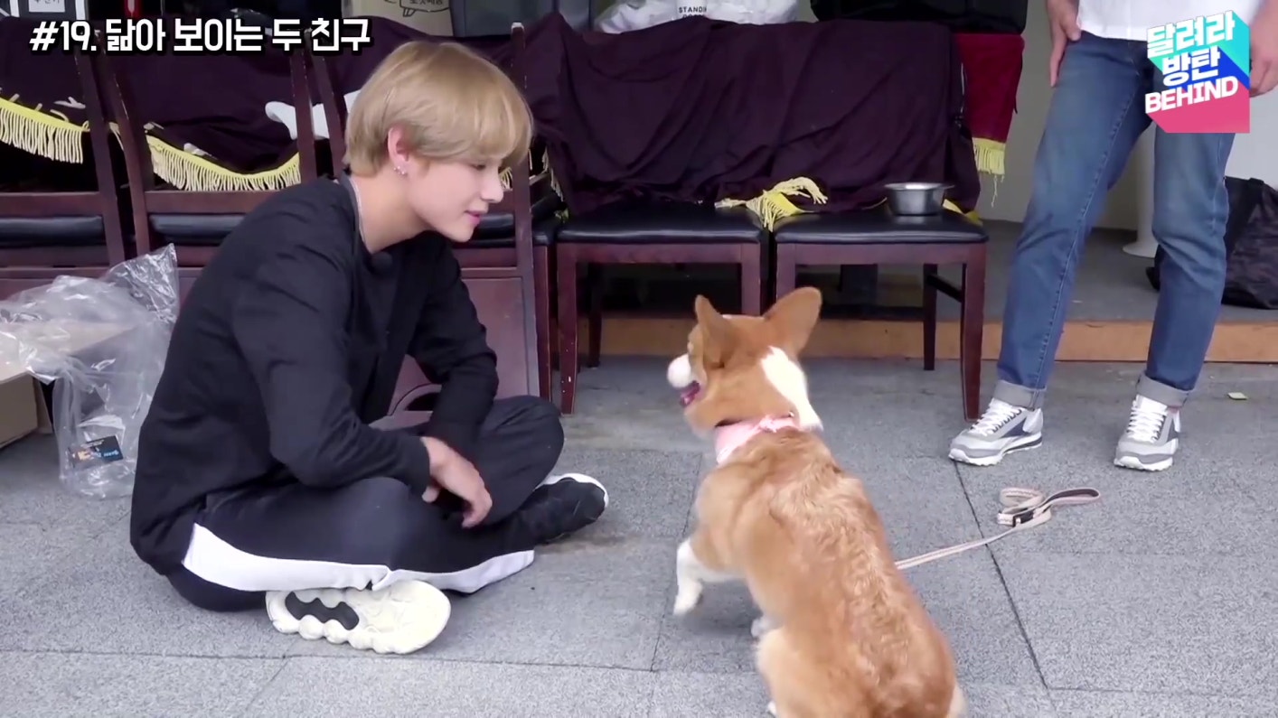 [Behind] Run BTS! - EP.23