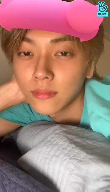 [퓨.나.시] 🐈 ️
