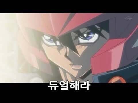 느린거북이 이미지